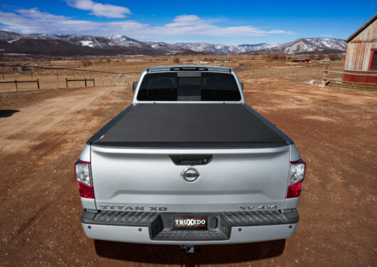 TX_ProX15_Nissan_Titan_Silver01.jpg